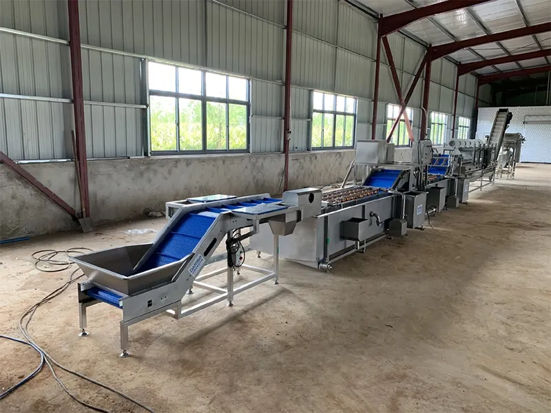 Dây chuyền sản xuất nước ép anh đào đã được bàn giao và đưa vào vận hành