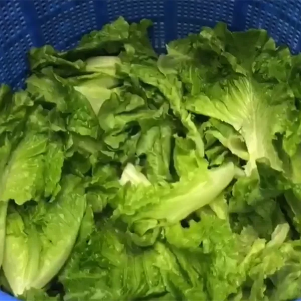 Máy tách nước rau củ quả, trái cây