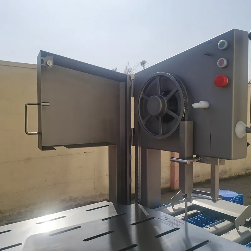 Máy cưa giò heo tự động, DRB-ZT100