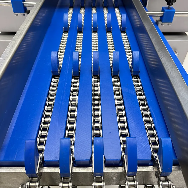 Máy thái thịt đông lạnh bằng cưa xương tự động, DRB-ZT5