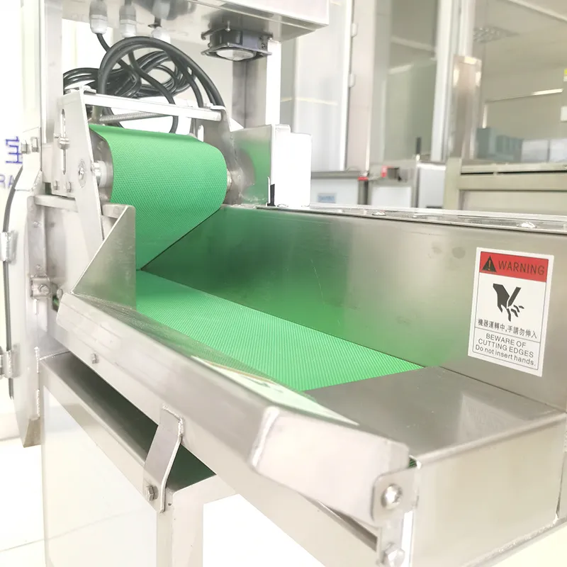 Máy thái rau củ quả đa năng, DRB-305